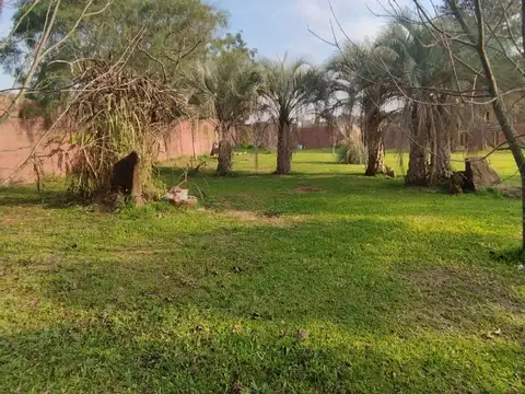 San Antonio De Padua 2705