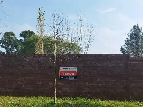 Terreno en Villa Adela