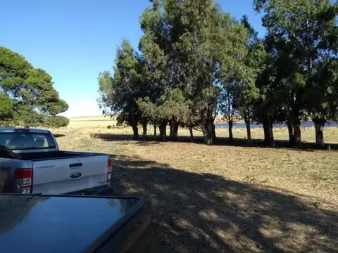 Casa Campo  en Venta en Tronquist, Resto de la Provincia, Buenos Aires - BLA6151_LP573639_5