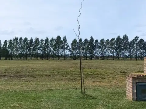 Terreno en Venta de 1085,0 m2