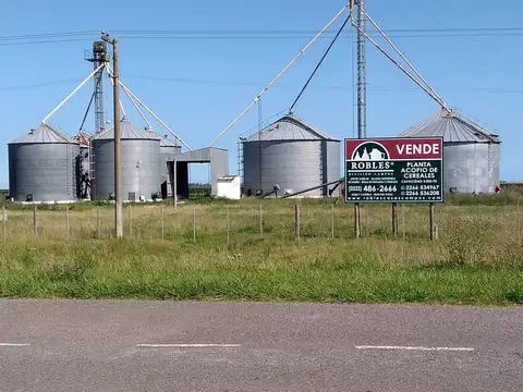 Planta de acopio de cereal en San Francisco de Bellocq, Tres Arroyos