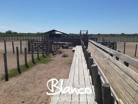 Casa en Alquiler en Nahuel Mapa, USD 1