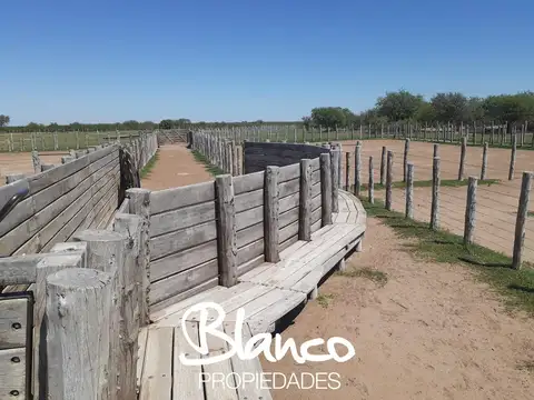 Campo  en Alquiler en Nahuel Mapa, Gobernador Dupuy, San Luis