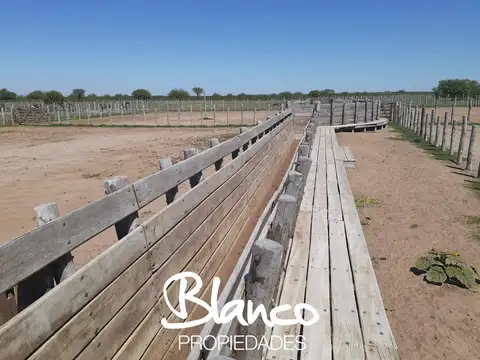 Casa en Alquiler A Estrenar