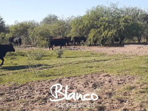 Casa en Alquiler A Estrenar