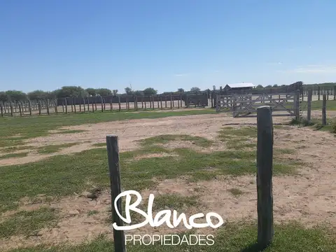 Casa en Alquiler en Nahuel Mapa, USD 1