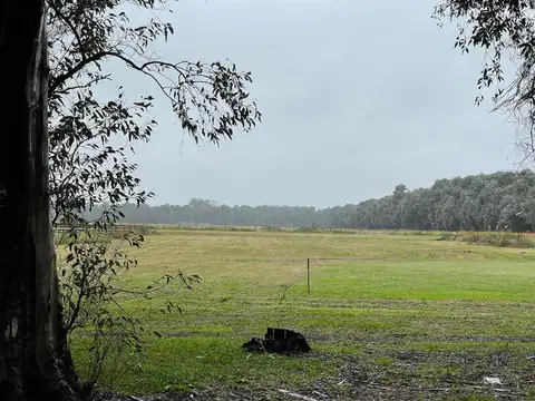Terreno en Venta 75  mts Fondo
