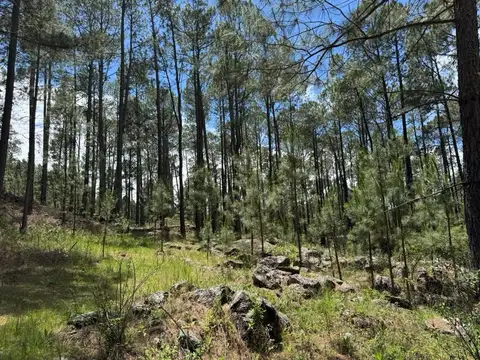 Terreno en Venta en Yacanto Calamuchita, USD 106.000