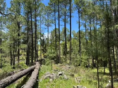 Terreno en Venta de 25900,0 m2