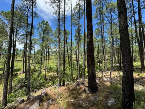 Terreno en Venta en Yacanto Calamuchita, USD 106.000