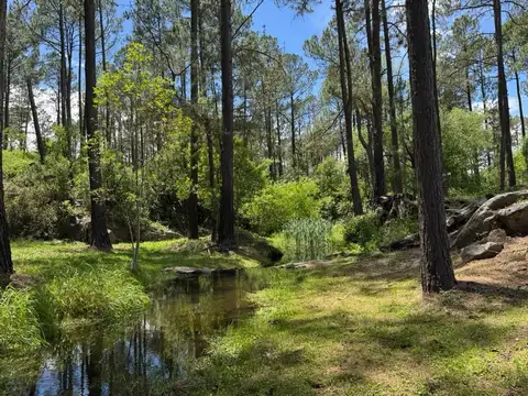 Terreno en Venta en Yacanto Calamuchita, USD 106.000