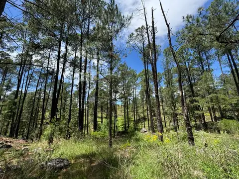 Terreno en Venta de 25900,0 m2