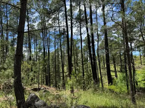 VENTA CAMPO YACANTO CON ARROYO 2,5 HAS