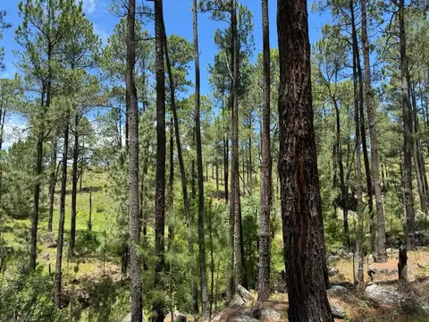 VENTA CAMPO YACANTO CON ARROYO 2,5 HAS