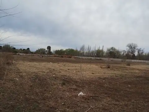 Terreno en Venta en General Roca, USD 20.000