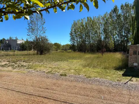 Terreno en Venta en General Roca, USD 25.000