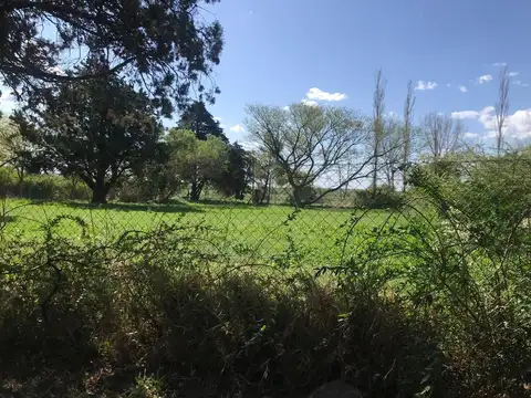 Terreno en Venta 19,98  mts Fondo