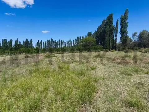 CALLEJON LOS GIRASOLES, SOBRE CALLE SARMIENTO , Piso 0