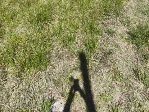 Terreno en Venta de 2003,0 m2