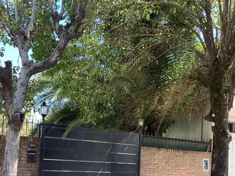 Catalina Badaracco 500