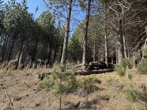 VENTA TERRENO SAN MARTIN DE LOS ANDES. CHAPELCO GOLF