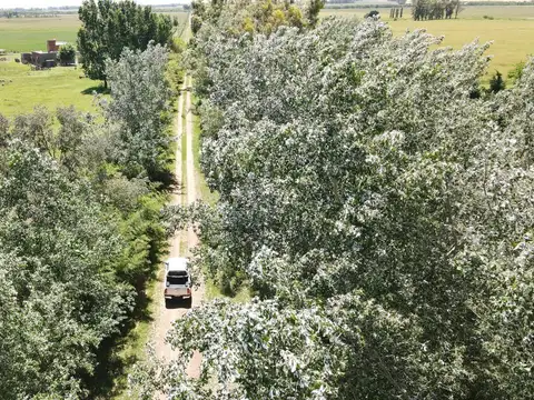 Campo en Venta de 40  ha