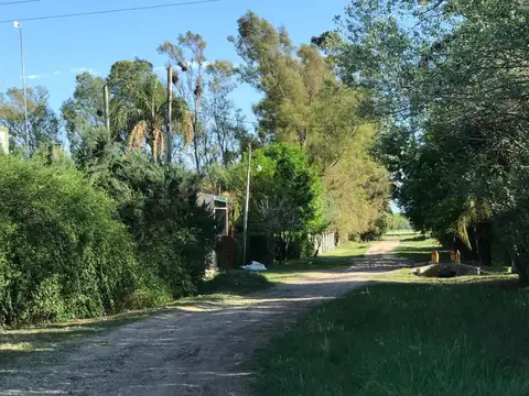 Terreno en Venta 16,79  mts Frente