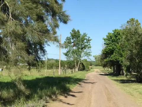 Terreno en Venta 16,79  mts Fondo