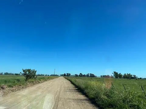 CAMPO 55 HECTARIAS EN NAVARRO