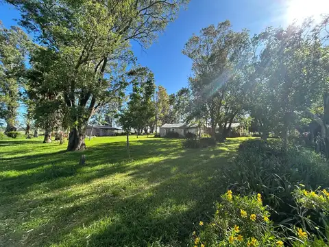 CAMPO 55 HECTARIAS EN NAVARRO