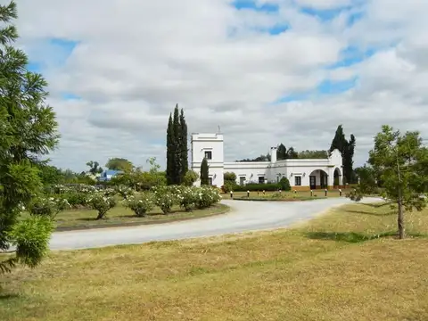 Terreno en Venta de 5530,0 m2