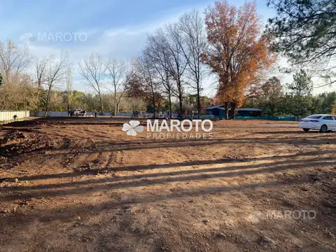 LOCAL EN VENTA EN CENTRO COMERCIAL MEET-MAROTO PROPIEDADES