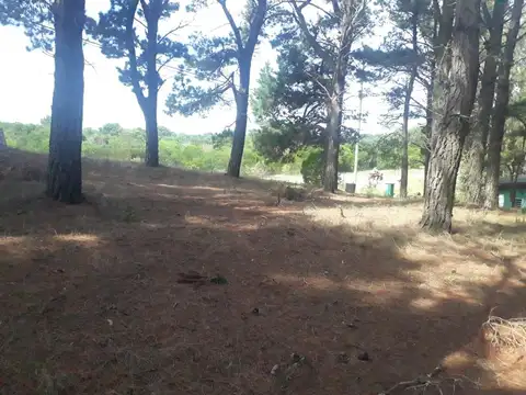 Terreno en Venta en Alfalad, USD 55.000