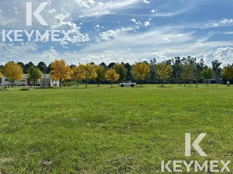 Campos de Roca II Ruta 2 km 65