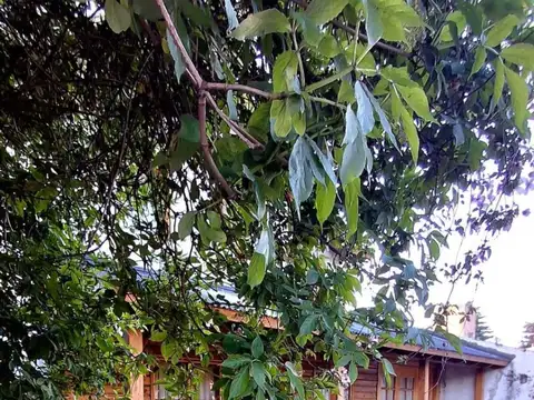 Casa en Venta en San Martin De Los Andes, USD 380.000