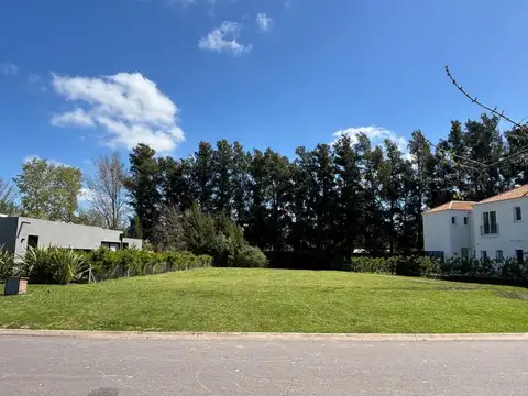 OPORTUNIDAD VENTA TERRENO EN PILARA: LA CALESA