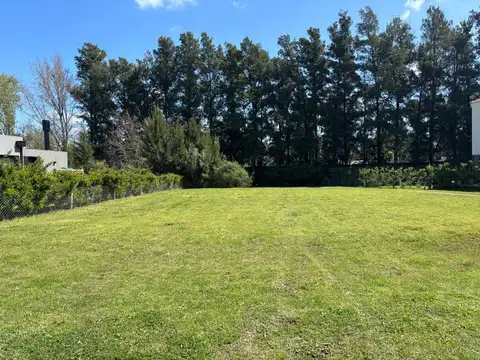 OPORTUNIDAD VENTA TERRENO EN PILARA: LA CALESA