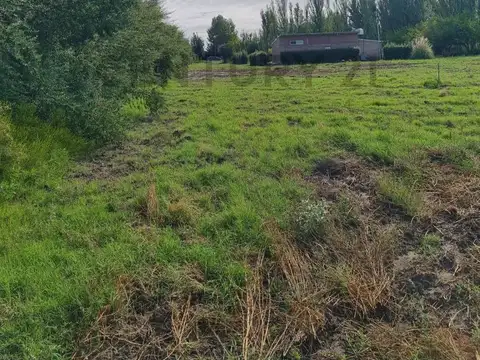 Terreno en Venta de 1000,0 m2