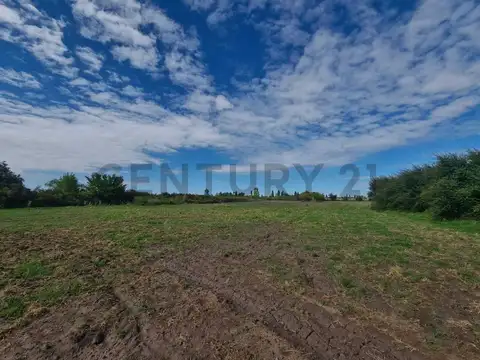 Ruta Provincial °165 , Piso 0