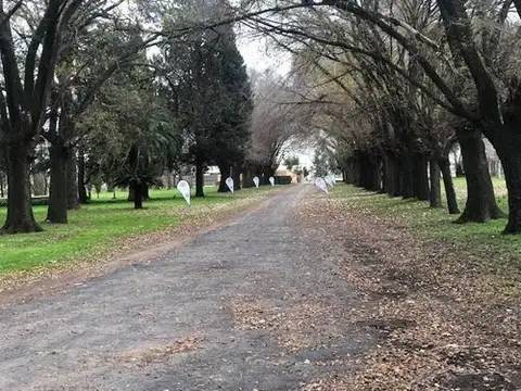 Terreno en Venta de 600,0 m2