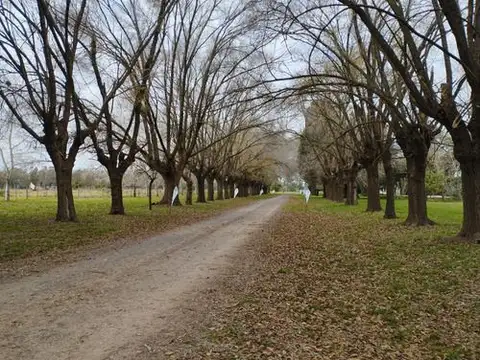 Terreno en Venta en Carlos Spegazzini, USD 25.200