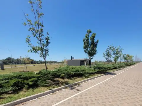 Terreno en Venta 10  mts Frente