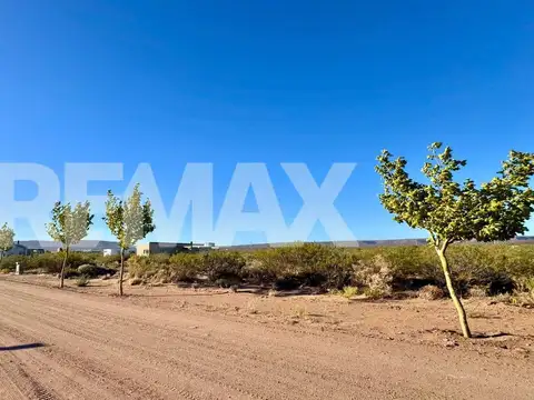 Terreno en Venta de 595,0 m2