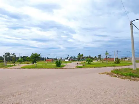 Terreno en Venta 25  mts Fondo