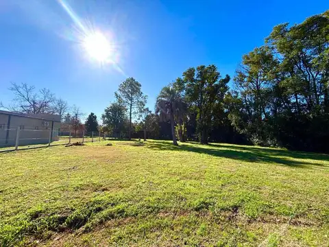 Presidente Juan Domingo Perón