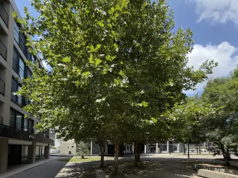 Local en Venta en Complejo 46 Plaza, USD 130.000