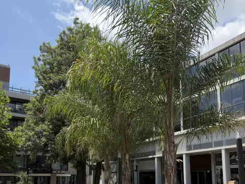 Local en Complejo 46 Plaza