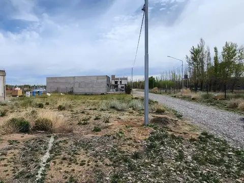 Don Hector, Lote 9, Manzana F