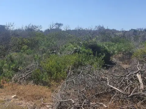 Terreno en Venta de 1163,0 m2