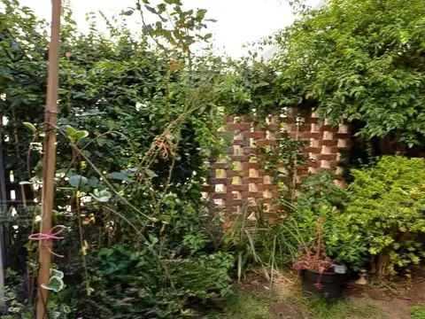 Departamento en Alquiler de 23 dormitorios